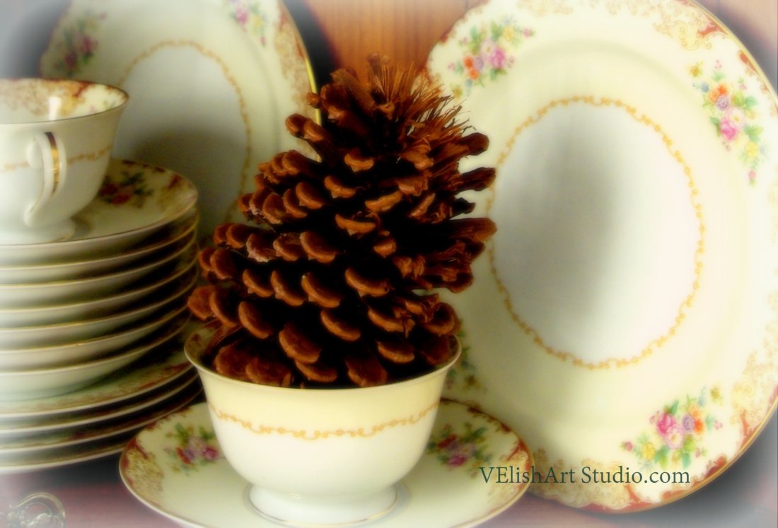 1-_IGP4226 china pinecone soften cropped