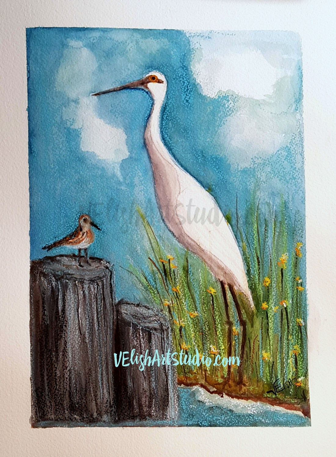 An Odd Couple with Logo and Watermark 20190809_104536